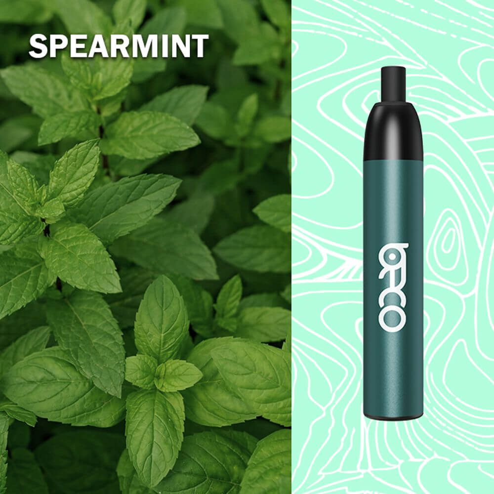 BECO MESH X 4500 PUFFS _ SPEARMINT 
50MG