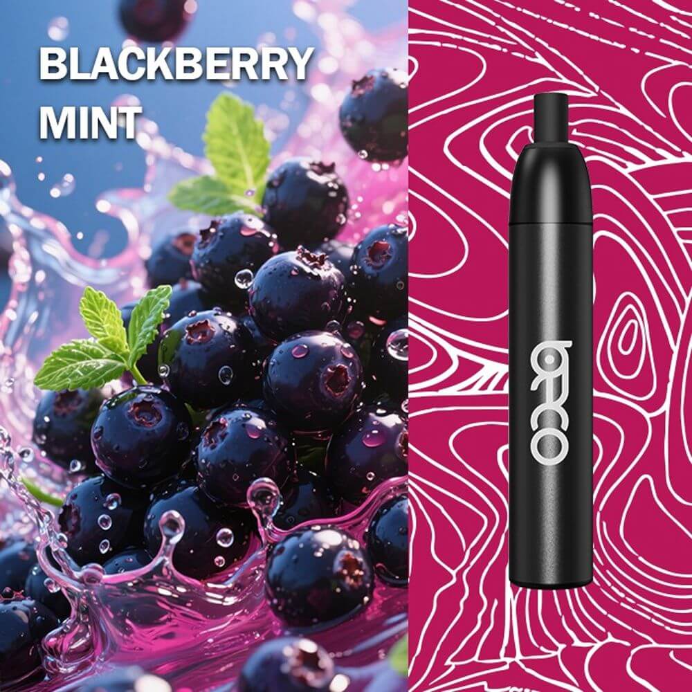 BECO MESH X 4500 PUFFS _ BLACKBERRY MINT 20MG 
