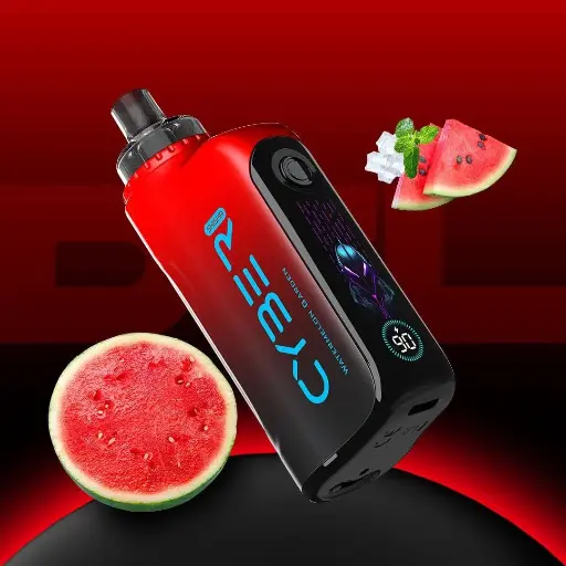CYBER SKISHA MASTER DISPOSABLE 6MG 30000 PUFFS _ WATERMELON GARDEN

