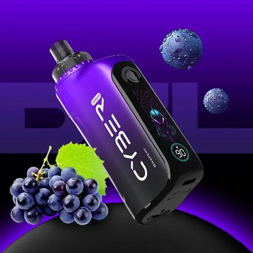 CYBER SKISHA MASTER DISPOSABLE 6MG 30000 PUFFS _ GRAPERY
